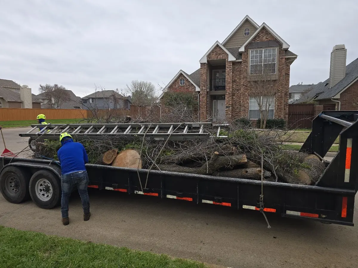 Expert Tree Fertilization with proper safety equipment in Bunker